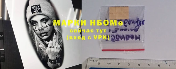 сатива Баксан