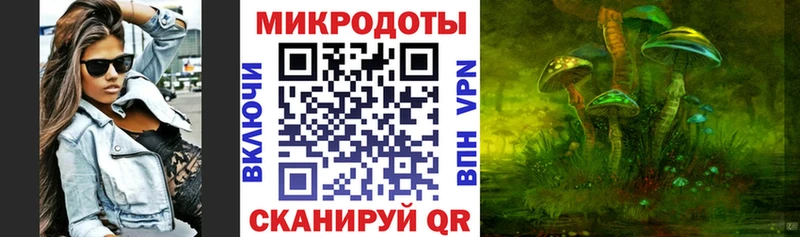 Псилоцибиновые грибы Psilocybine cubensis  hydra как войти  Красный Сулин  купить закладку 