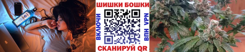 Конопля гибрид  KRAKEN ТОР  Красный Сулин 